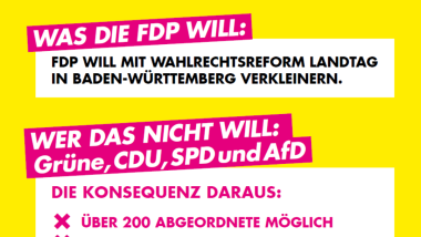 XXL-Landtag verhindern